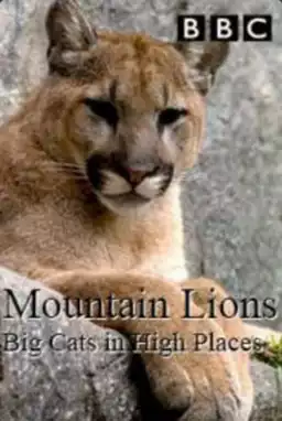 Mountain Lions: Big Cats in High Places