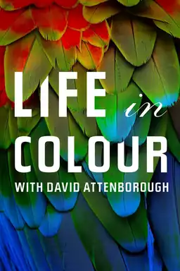 Attenborough's Life in Colour