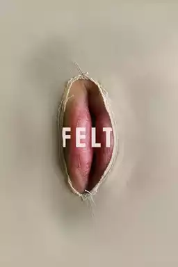 Felt