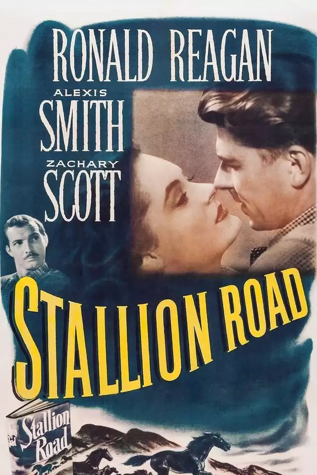 movie vertical poster fallback