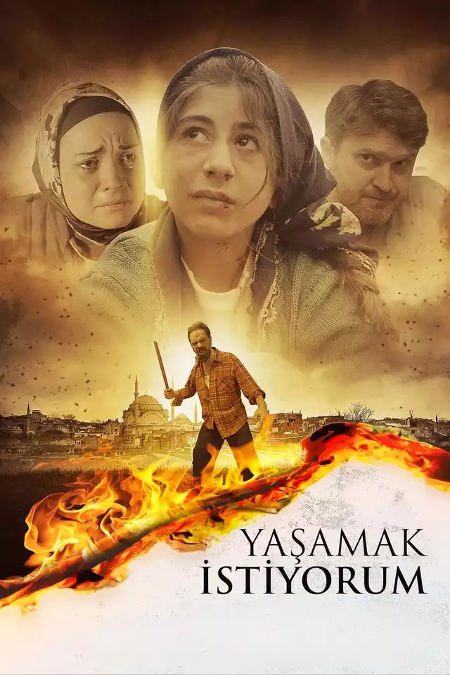 movie vertical poster fallback