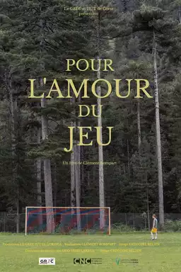 Pour l'amour du jeu