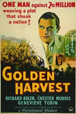 Golden Harvest