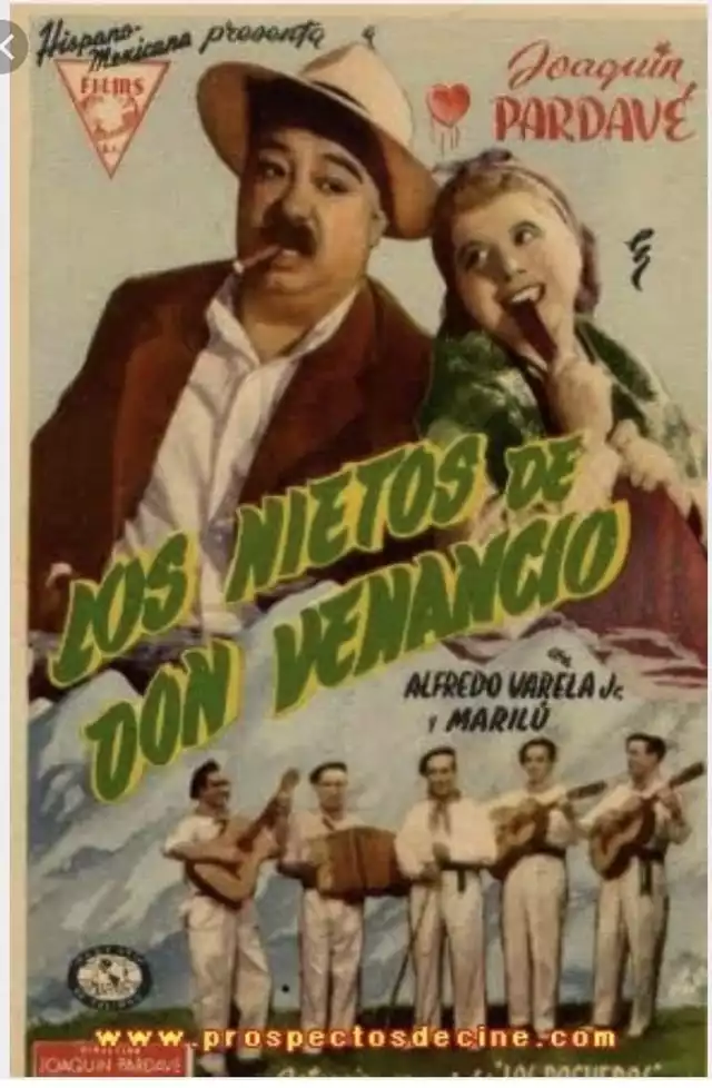 movie vertical poster fallback