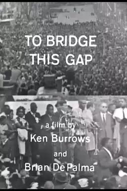To Bridge This Gap