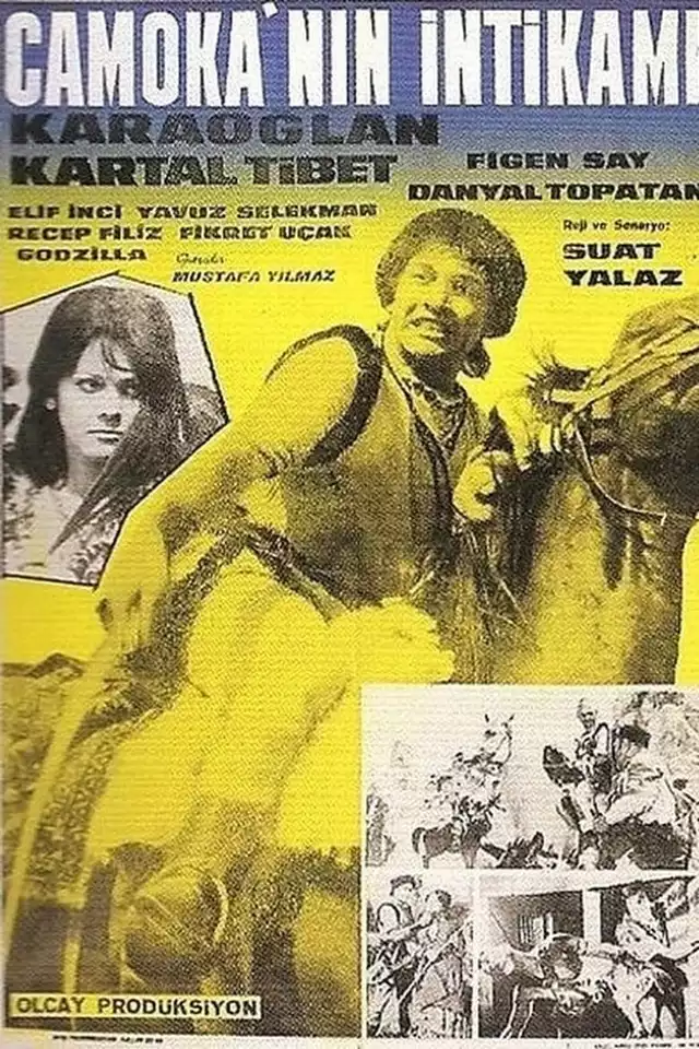movie vertical poster fallback