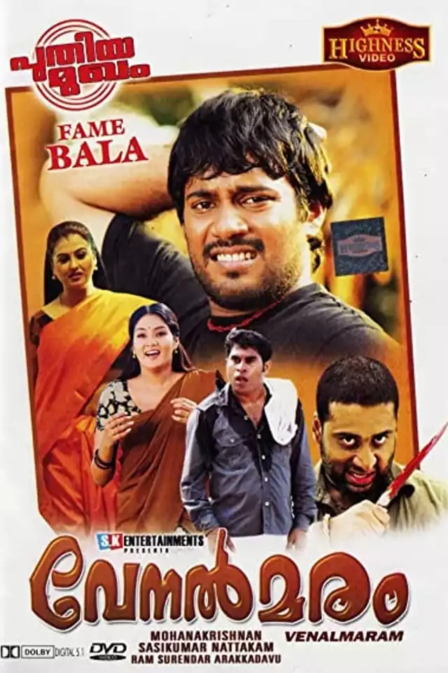 movie vertical poster fallback