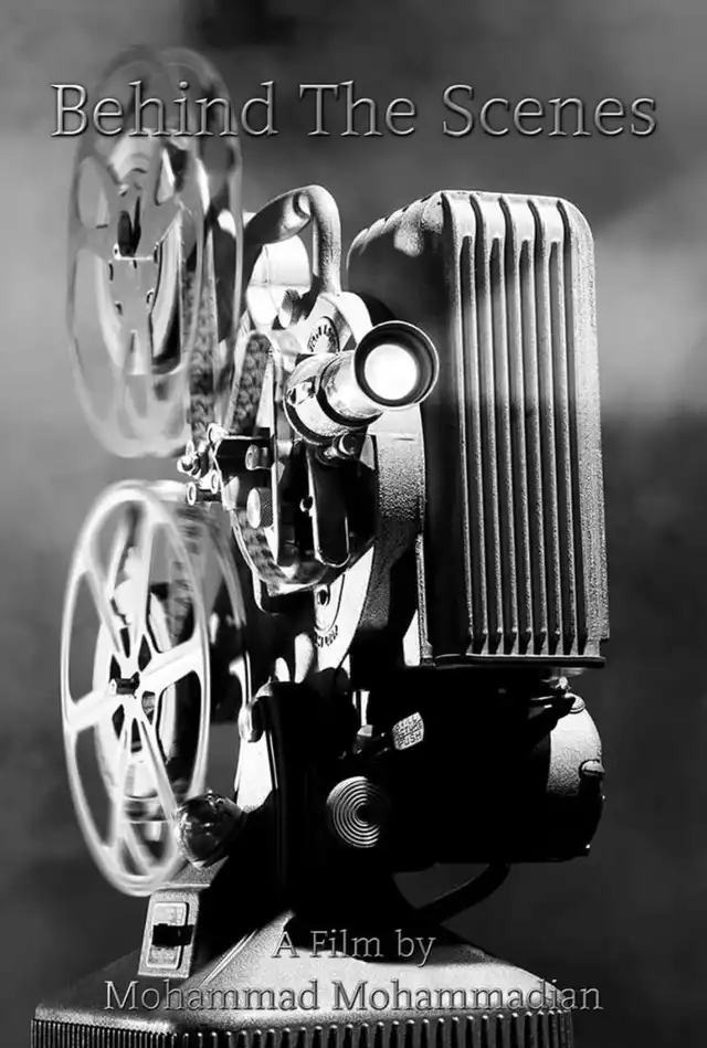 movie vertical poster fallback