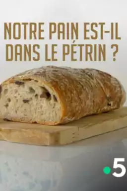 Notre pain est-il dans le pétrin ?