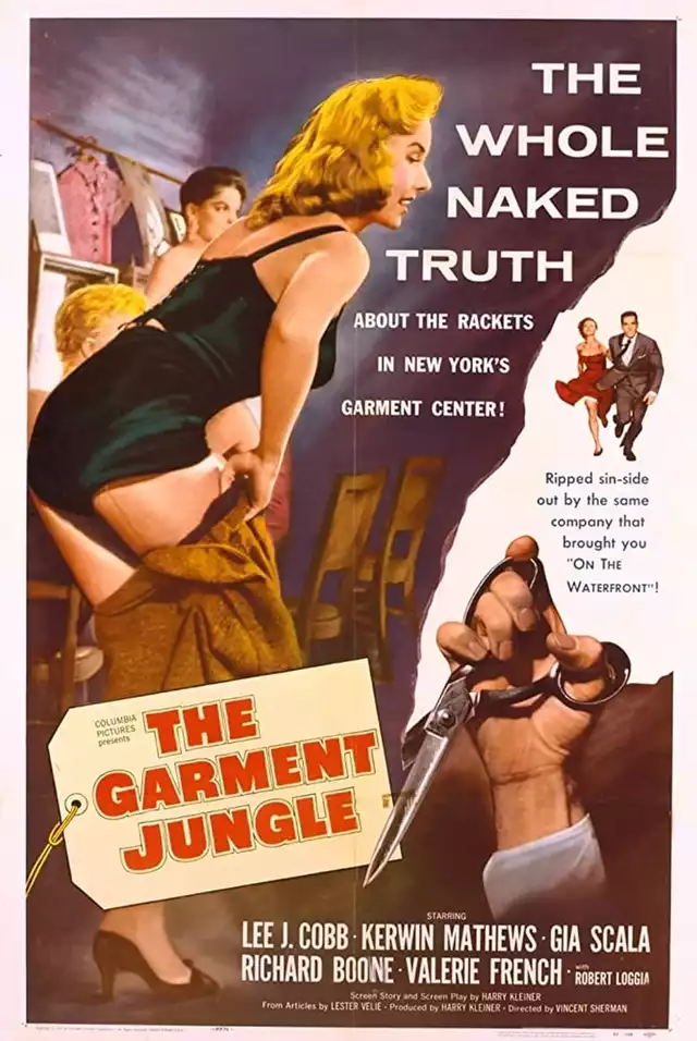 movie vertical poster fallback