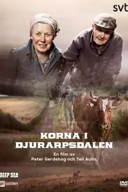 Korna i Djurarpsdalen