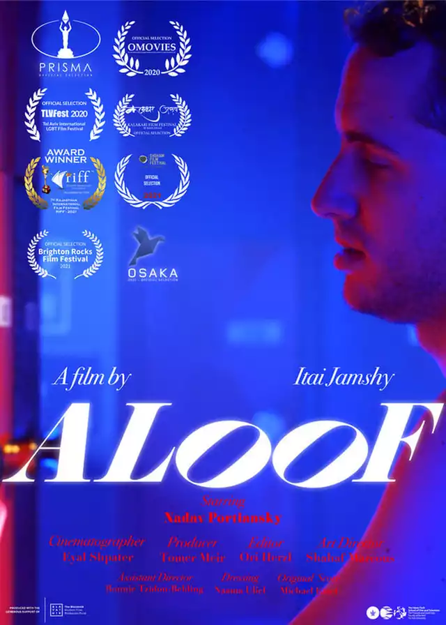 movie vertical poster fallback