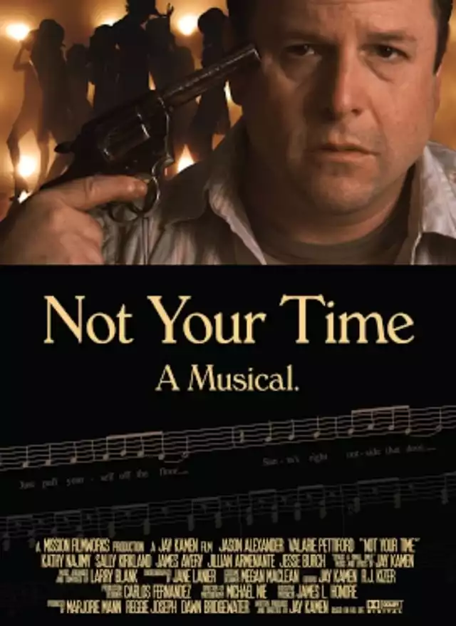 movie vertical poster fallback