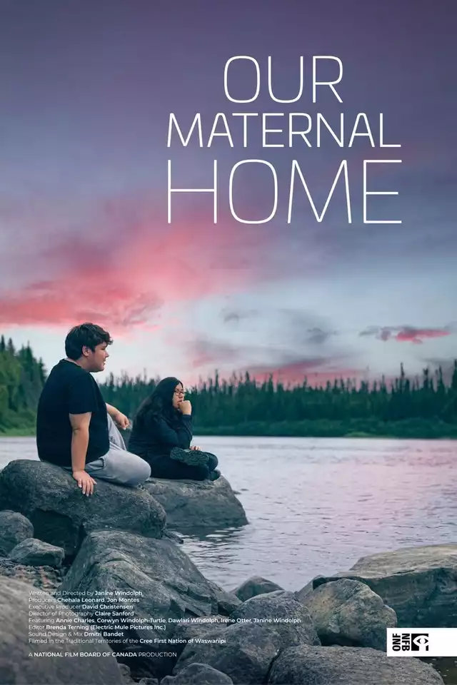 movie vertical poster fallback