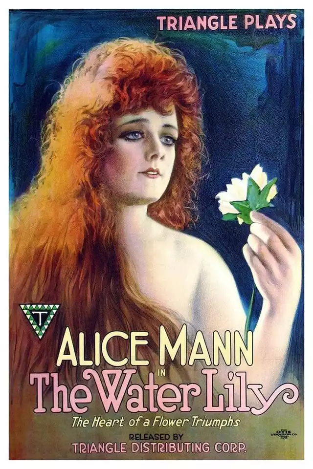 movie vertical poster fallback