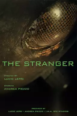 The Stranger