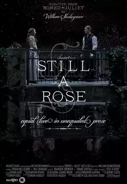 Still a Rose