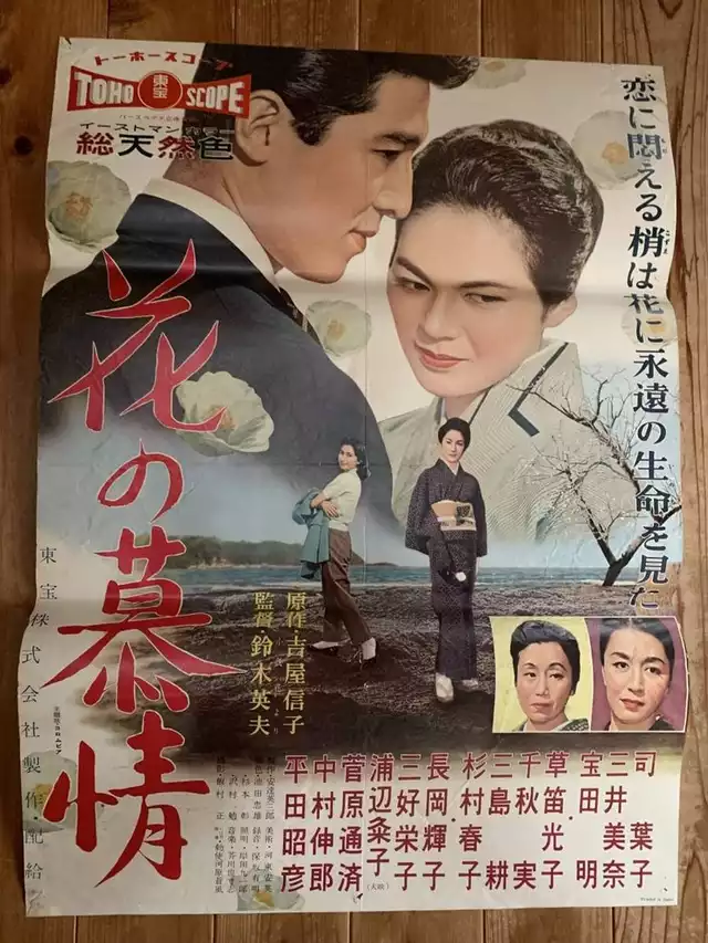 movie vertical poster fallback