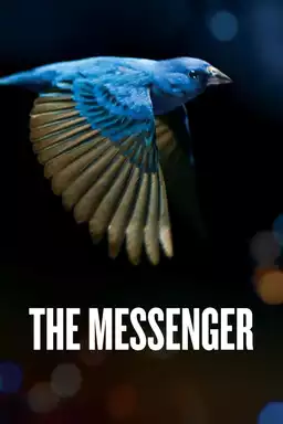 The Messenger