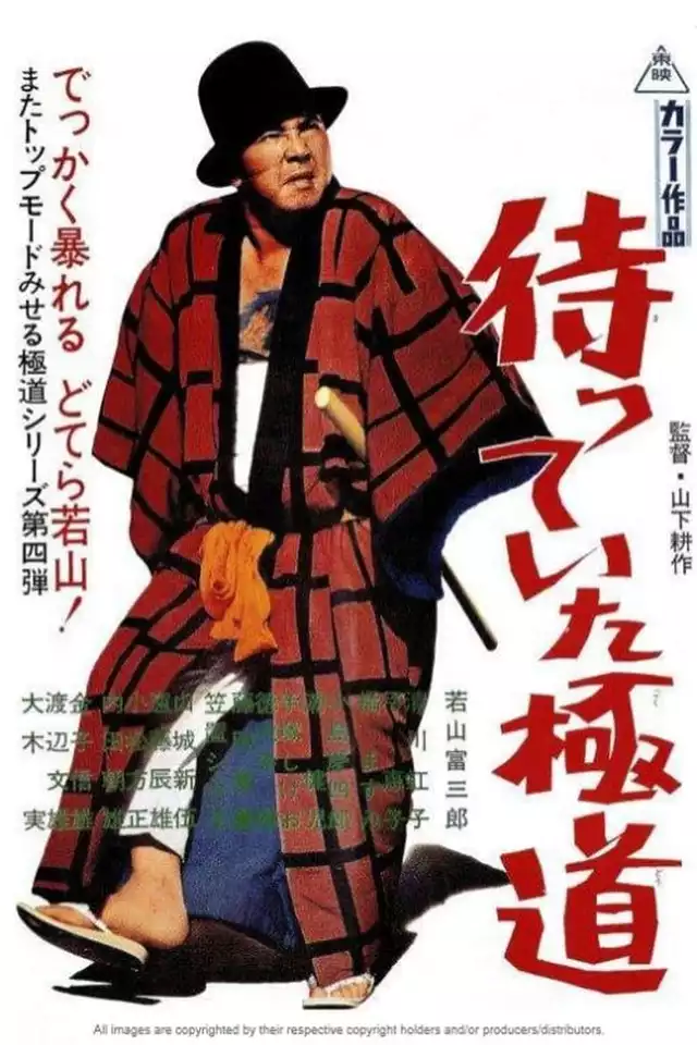 movie vertical poster fallback