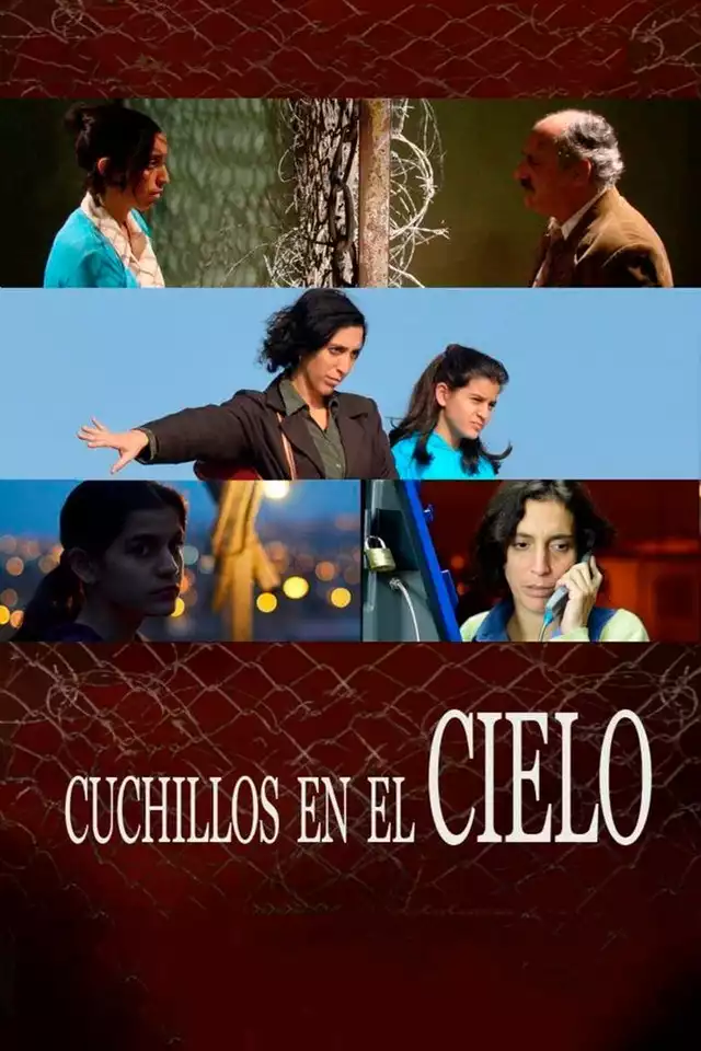 movie vertical poster fallback