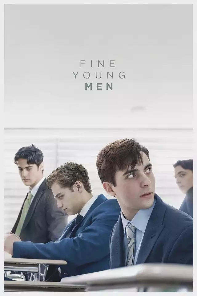movie vertical poster fallback