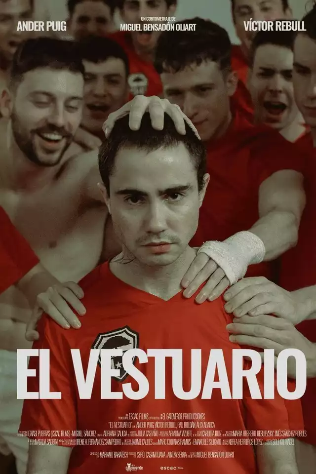 movie vertical poster fallback