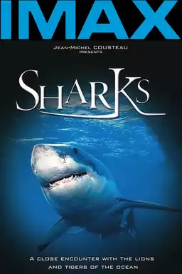 Sharks 3D