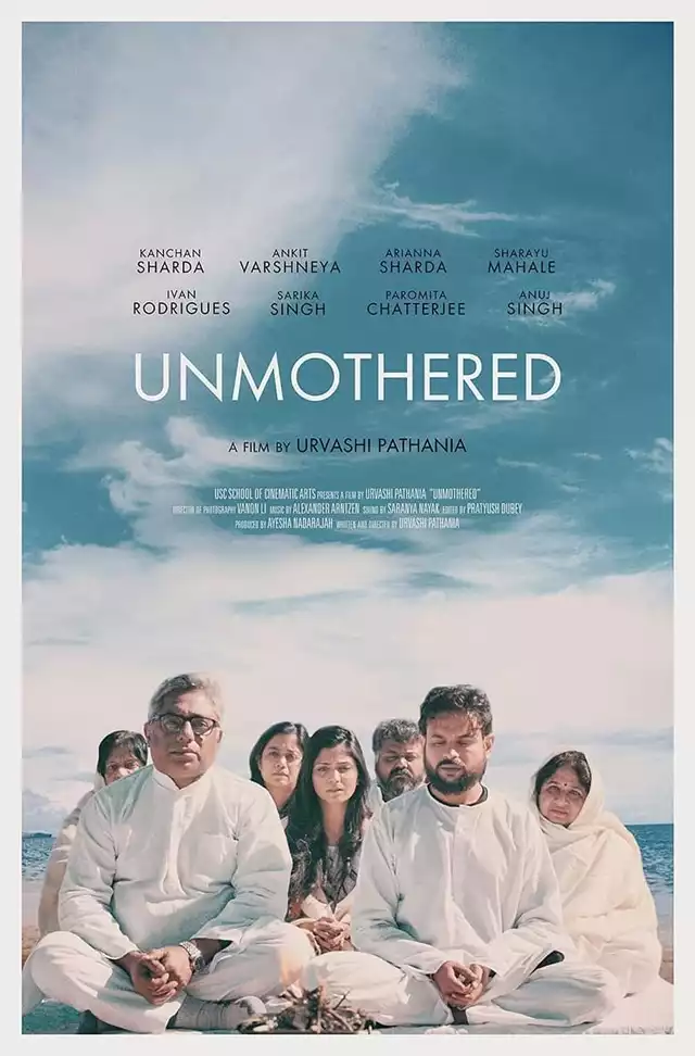 movie vertical poster fallback