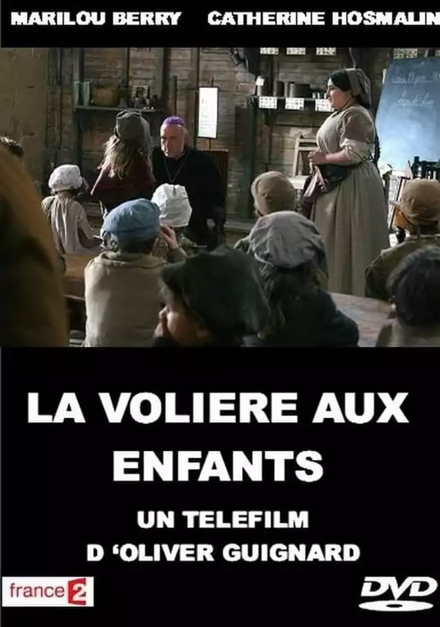 movie vertical poster fallback