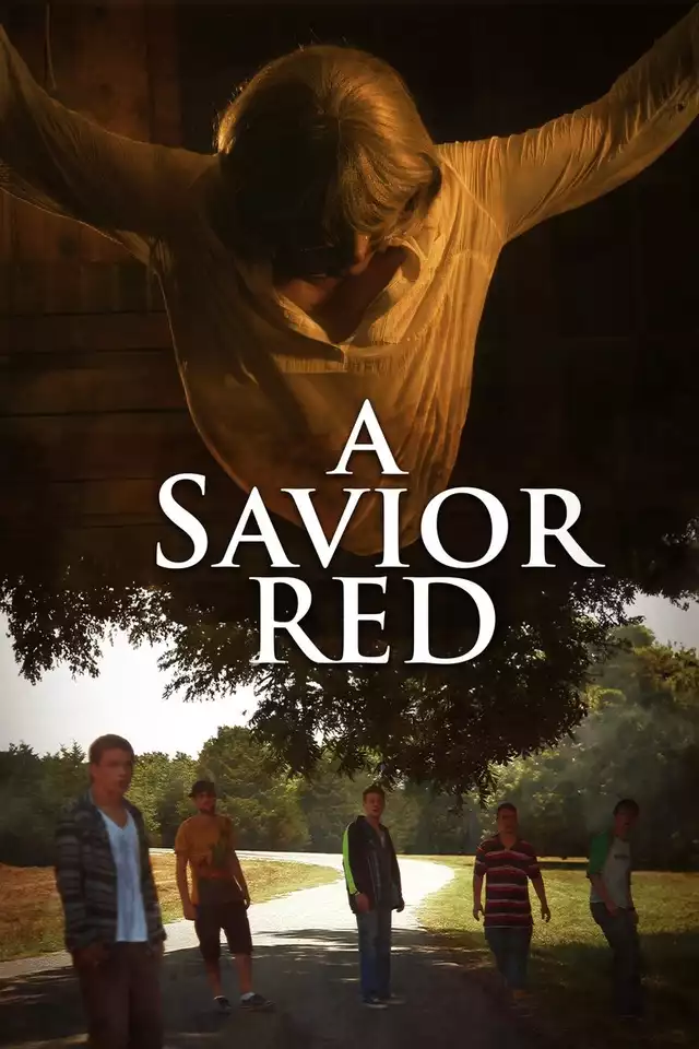 movie vertical poster fallback
