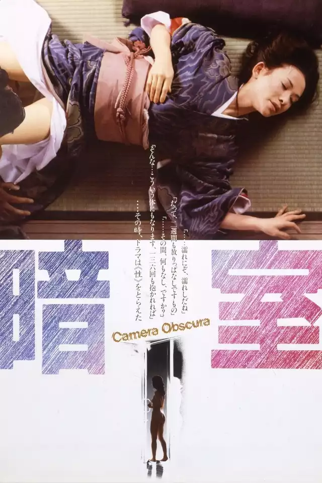 movie vertical poster fallback