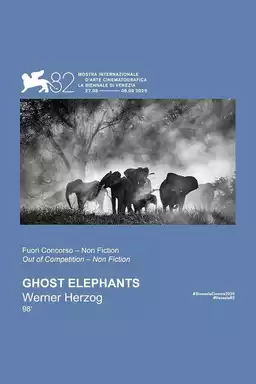 Ghost Elephants