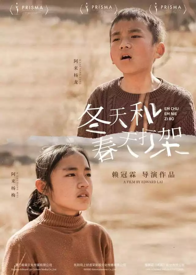 movie vertical poster fallback