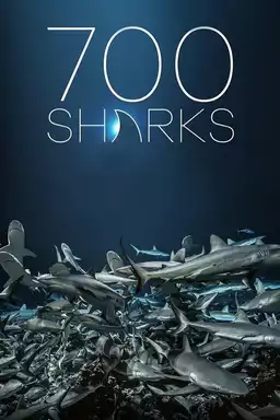 700 Sharks