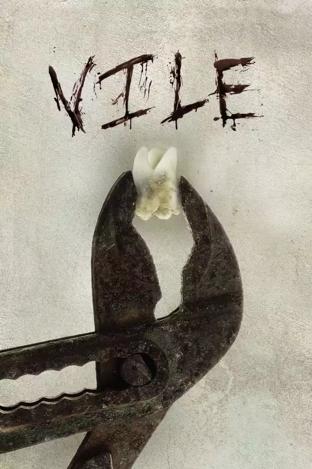 movie vertical poster fallback
