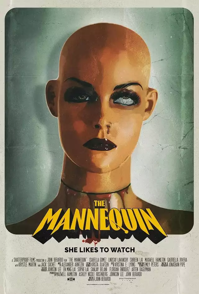 movie vertical poster fallback