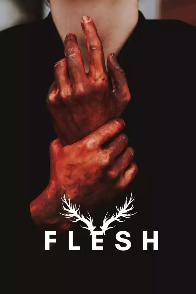 movie vertical poster fallback