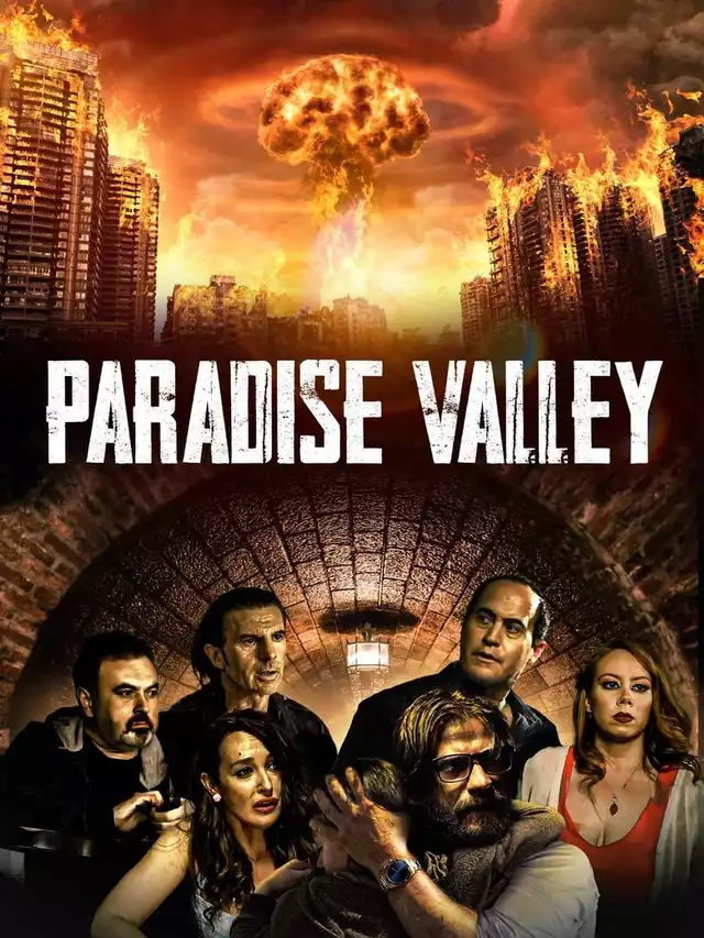 movie vertical poster fallback