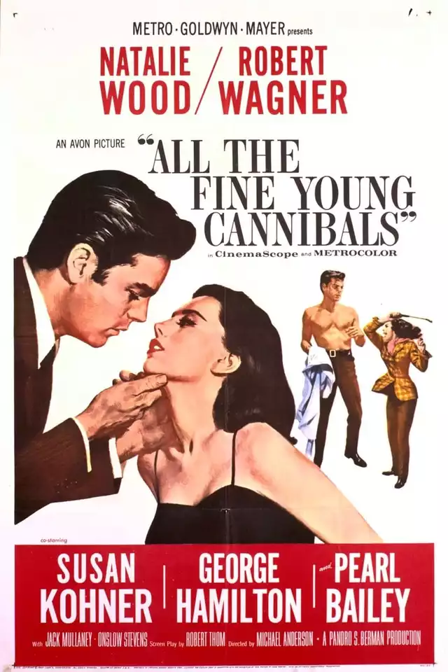 movie vertical poster fallback