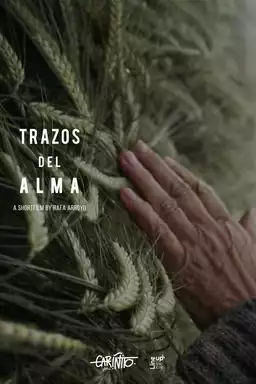 Trazos del alma