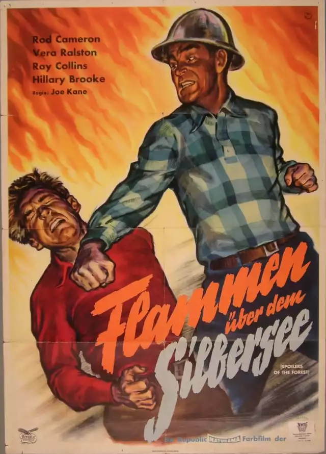 movie vertical poster fallback