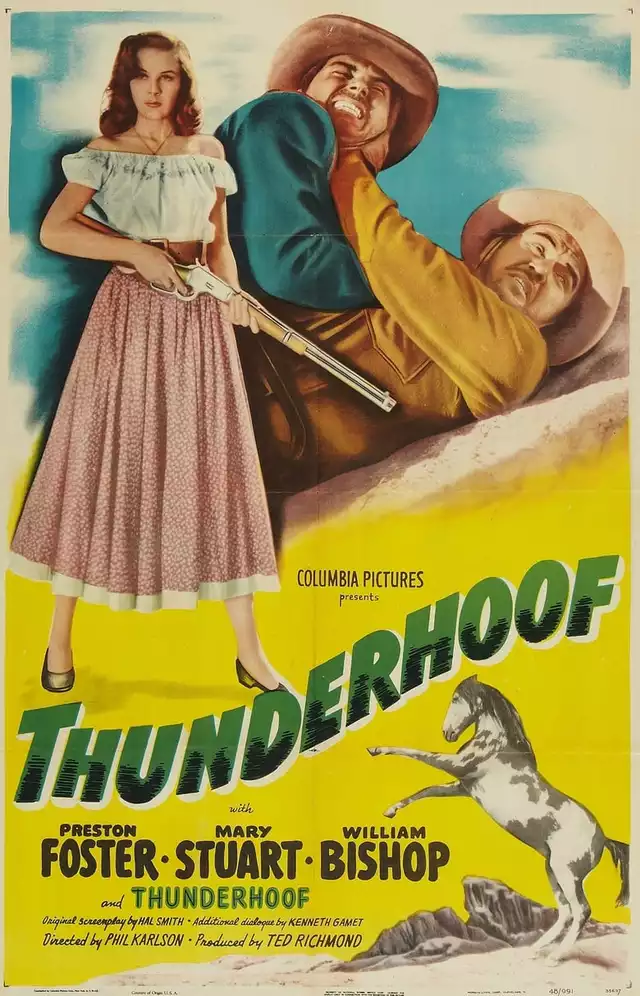 movie vertical poster fallback