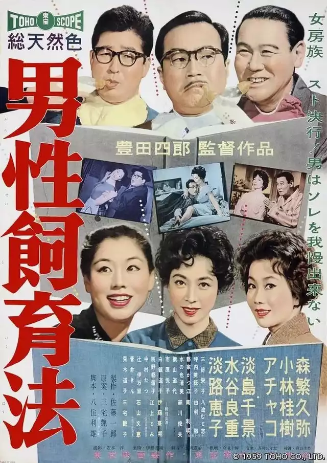 movie vertical poster fallback