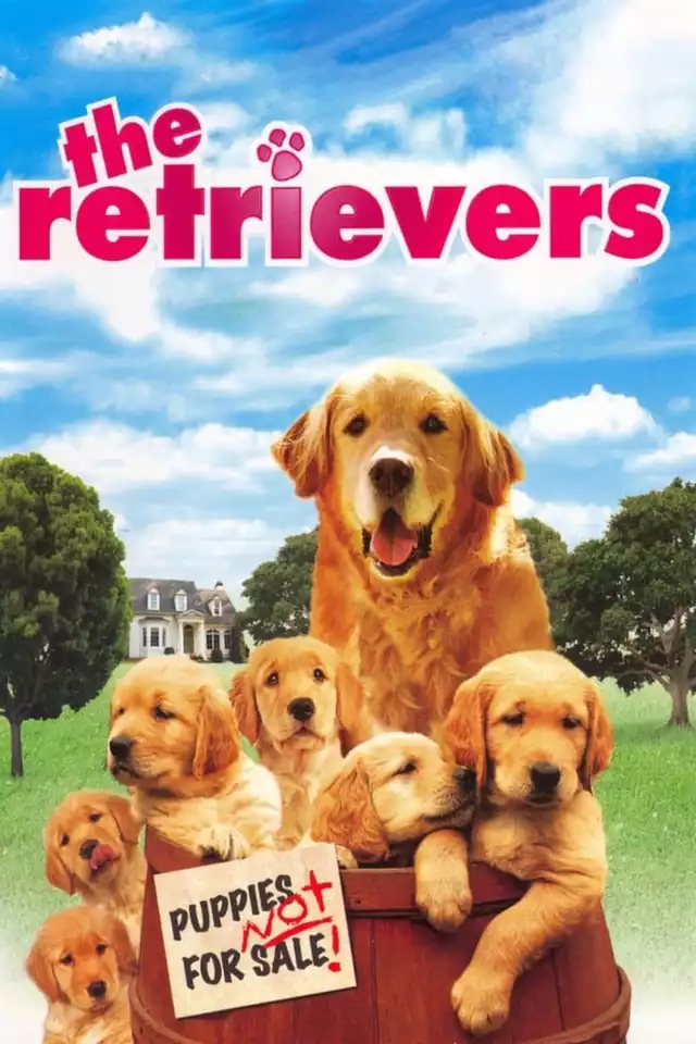 movie vertical poster fallback
