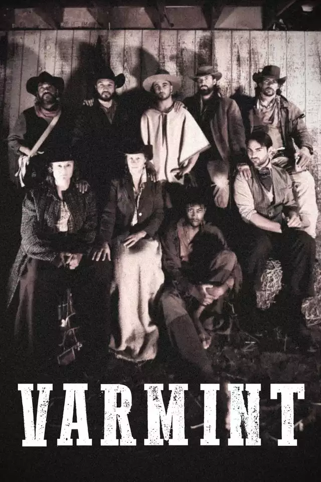 movie vertical poster fallback
