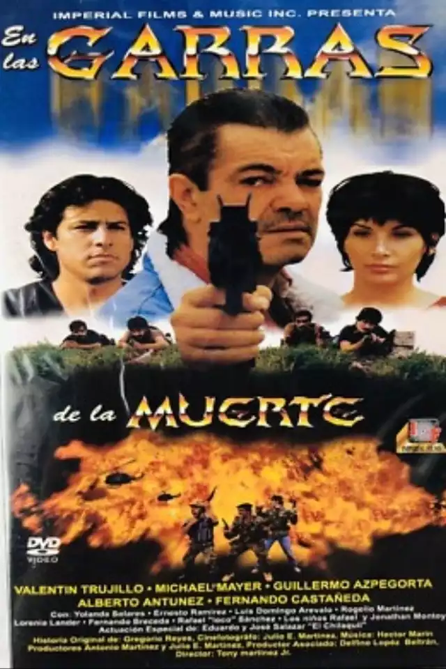 movie vertical poster fallback