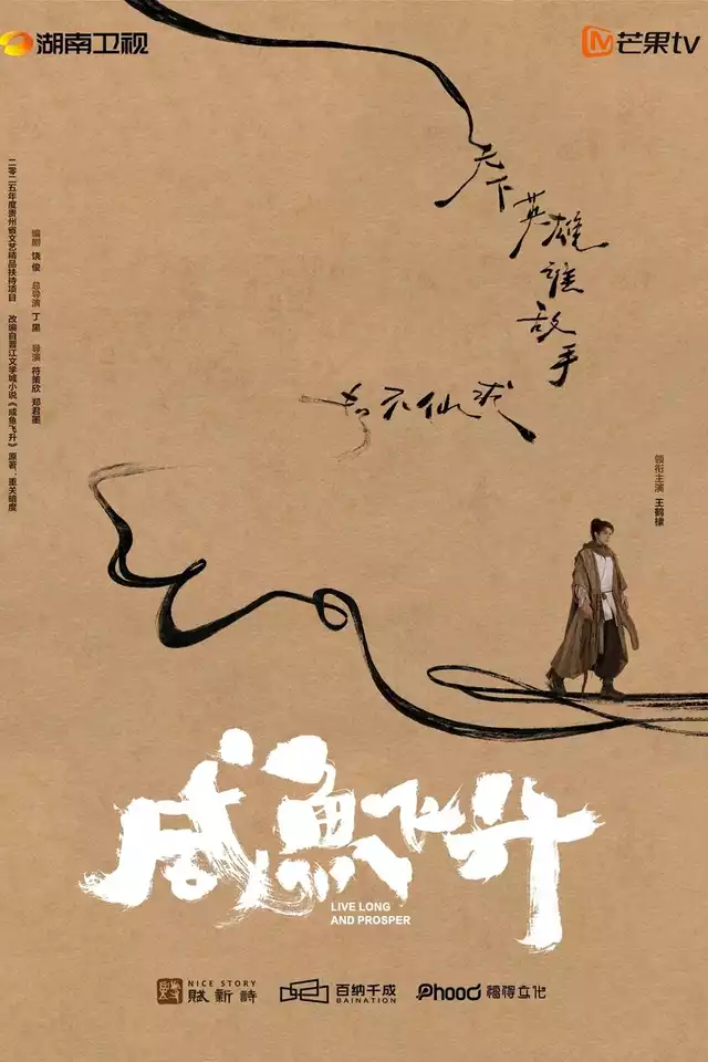 movie vertical poster fallback