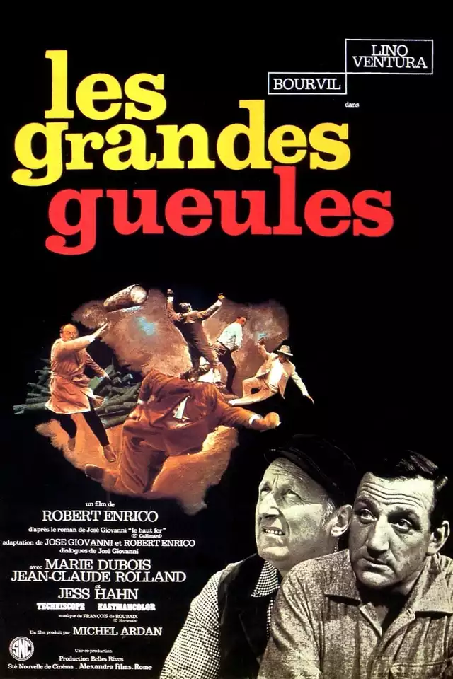 movie vertical poster fallback