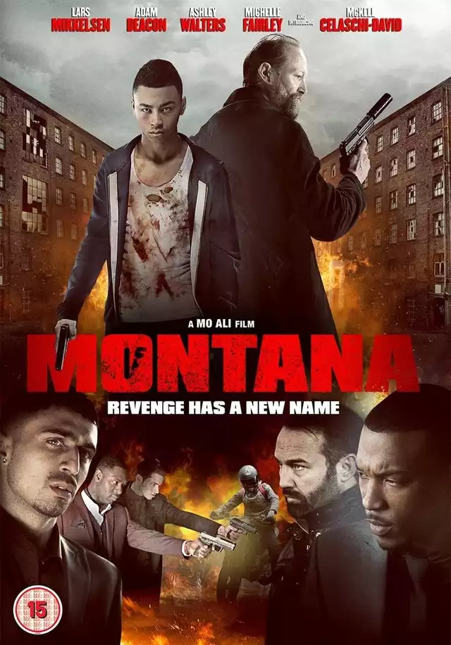 movie vertical poster fallback